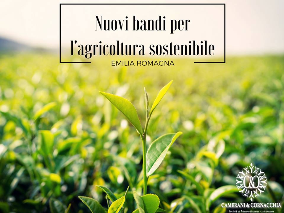 Emilia Romagna nuovi bandi per l'agricoltura sostenibile